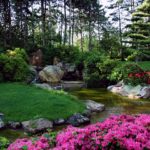 Okrasná japonská záhrada – poteší oko aj dušu